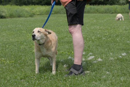 20250608_Dog park__DSC0669_.jpg