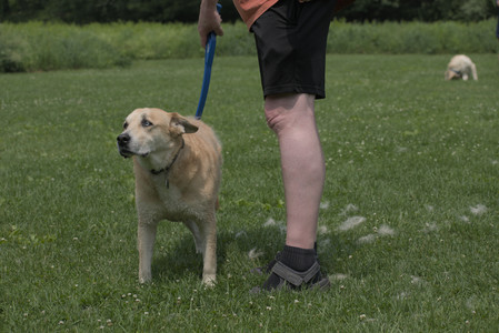 20250608_Dog park__DSC0670_.jpg