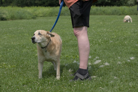 20250608_Dog park__DSC0671_.jpg