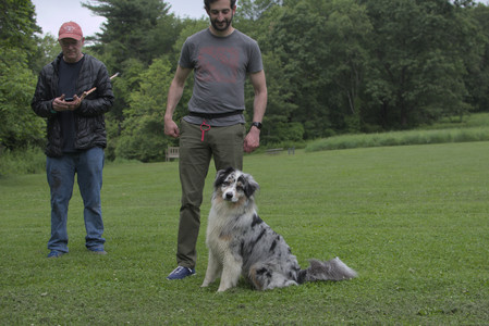 20250618_Dog park__DSC0203_.jpg