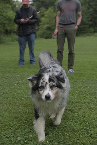 20250618_Dog park__DSC0212_.jpg