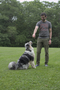 20250618_Dog park__DSC0342_.jpg