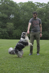 20250618_Dog park__DSC0343_.jpg