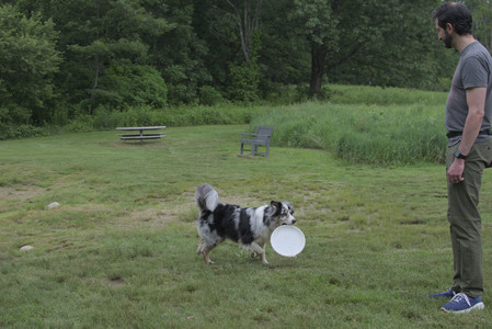 20250618_Dog park__DSC0348_.jpg