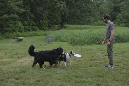 20250618_Dog park__DSC0368_.jpg