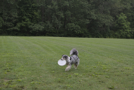 20250618_Dog park__DSC0380_.jpg
