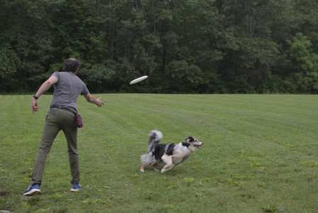 20250618_Dog park__DSC0383_.jpg