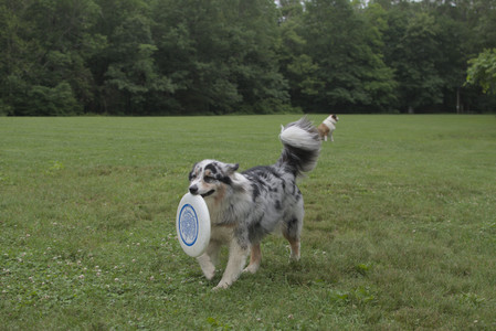 20250618_Dog park__DSC0398_.jpg