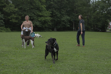 20250618_Dog park__DSC0452_.jpg