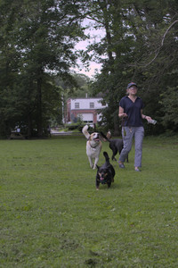 20250618_Dog park__DSC0487_.jpg