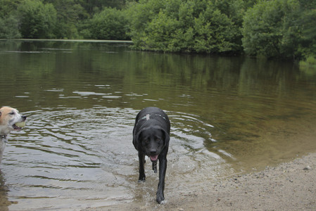 20250618_Dog park__DSC0540_.jpg