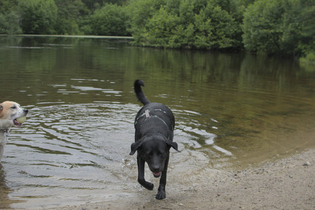 20250618_Dog park__DSC0541_.jpg
