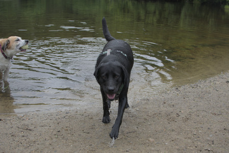 20250618_Dog park__DSC0543_.jpg