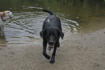 20250618_Dog park__DSC0544_.jpg