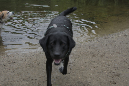 20250618_Dog park__DSC0545_.jpg