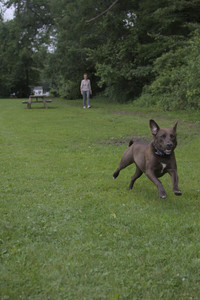 20250618_Dog park__DSC0547_.jpg