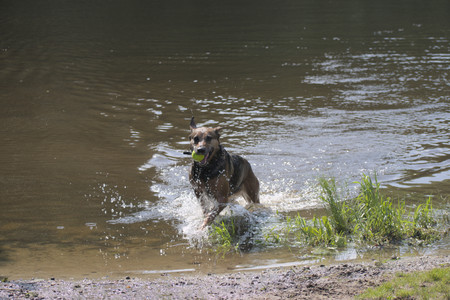 20250620_Dog park__DSC0530_.jpg