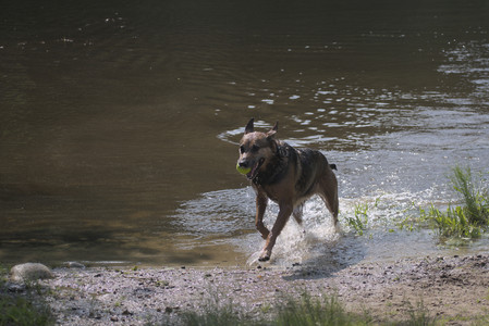 20250620_Dog park__DSC0533_.jpg