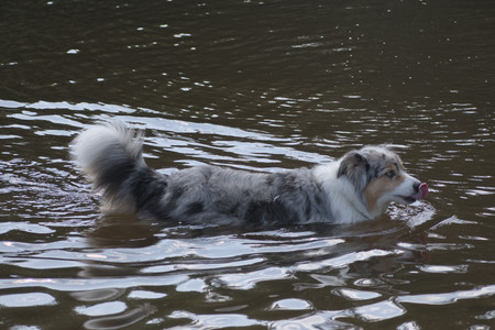 20250620_Dog park__DSC0555_.jpg