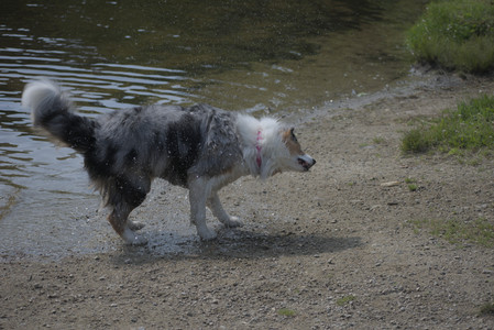 20250620_Dog park__DSC0566_.jpg