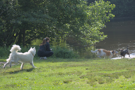 20250620_Dog park__DSC0601_.jpg