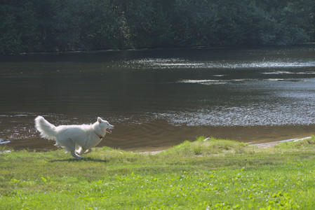 20250620_Dog park__DSC0605_.jpg