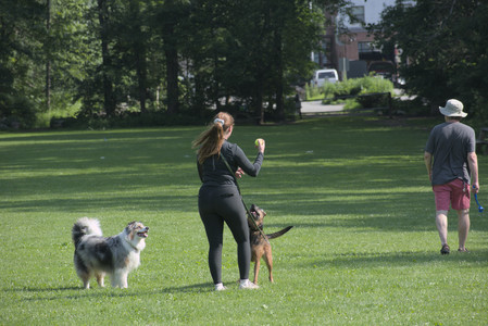 20250620_Dog park__DSC0642_.jpg