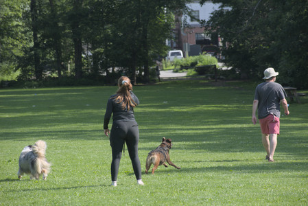 20250620_Dog park__DSC0646_.jpg