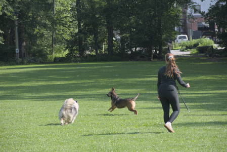 20250620_Dog park__DSC0649_.jpg