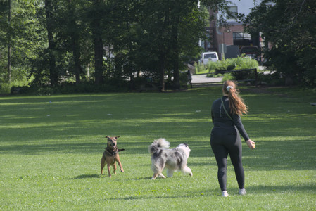 20250620_Dog park__DSC0654_.jpg