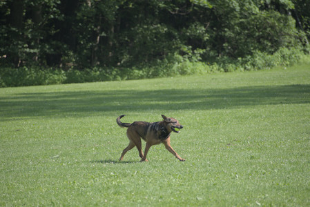 20250620_Dog park__DSC0666_.jpg