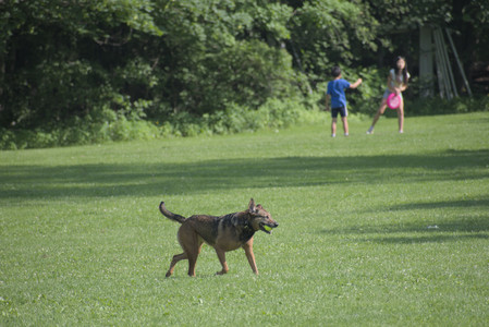 20250620_Dog park__DSC0668_.jpg