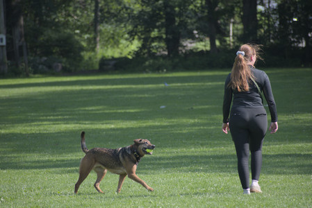 20250620_Dog park__DSC0674_.jpg