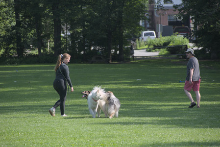 20250620_Dog park__DSC0678_.jpg
