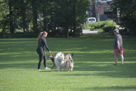 20250620_Dog park__DSC0679_.jpg