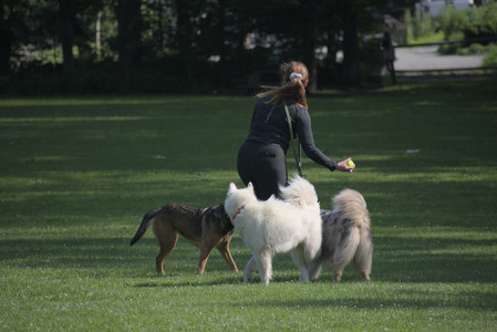 20250620_Dog park__DSC0681_.jpg