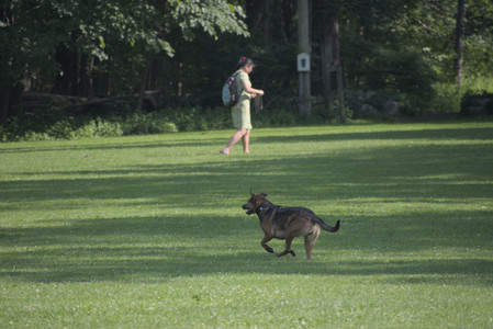 20250620_Dog park__DSC0685_.jpg