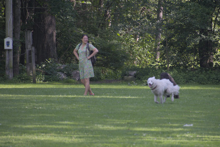 20250620_Dog park__DSC0787_.jpg