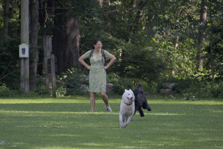 20250620_Dog park__DSC0790_.jpg