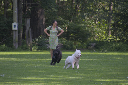 20250620_Dog park__DSC0791_.jpg