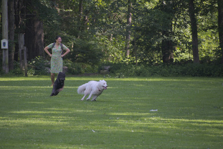 20250620_Dog park__DSC0792_.jpg