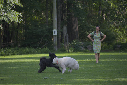20250620_Dog park__DSC0806_.jpg