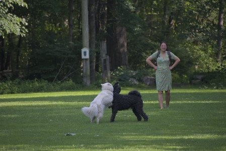 20250620_Dog park__DSC0814_.jpg