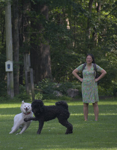 20250620_Dog park__DSC0821_.jpg