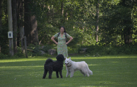 20250620_Dog park__DSC0833_.jpg