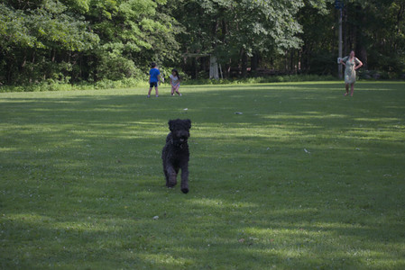 20250620_Dog park__DSC0838_.jpg