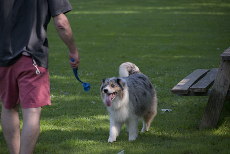 20250620_Dog park__DSC0850_.jpg
