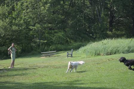 20250620_Dog park__DSC0864_.jpg