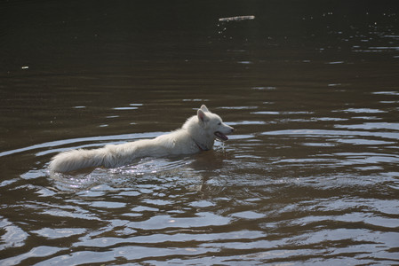 20250620_Dog park__DSC0889_.jpg