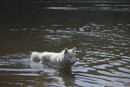 20250620_Dog park__DSC0910_.jpg